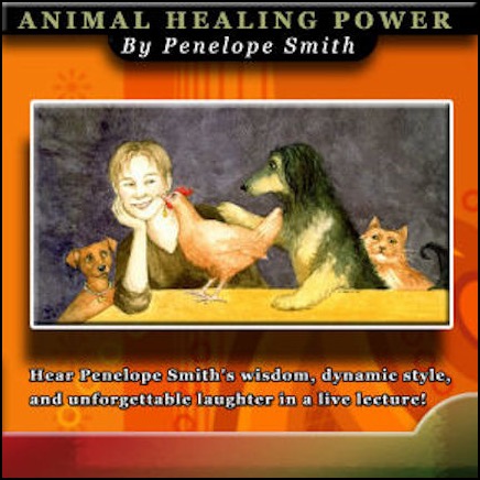 Animal Healing Power CD byPenelope-Smith